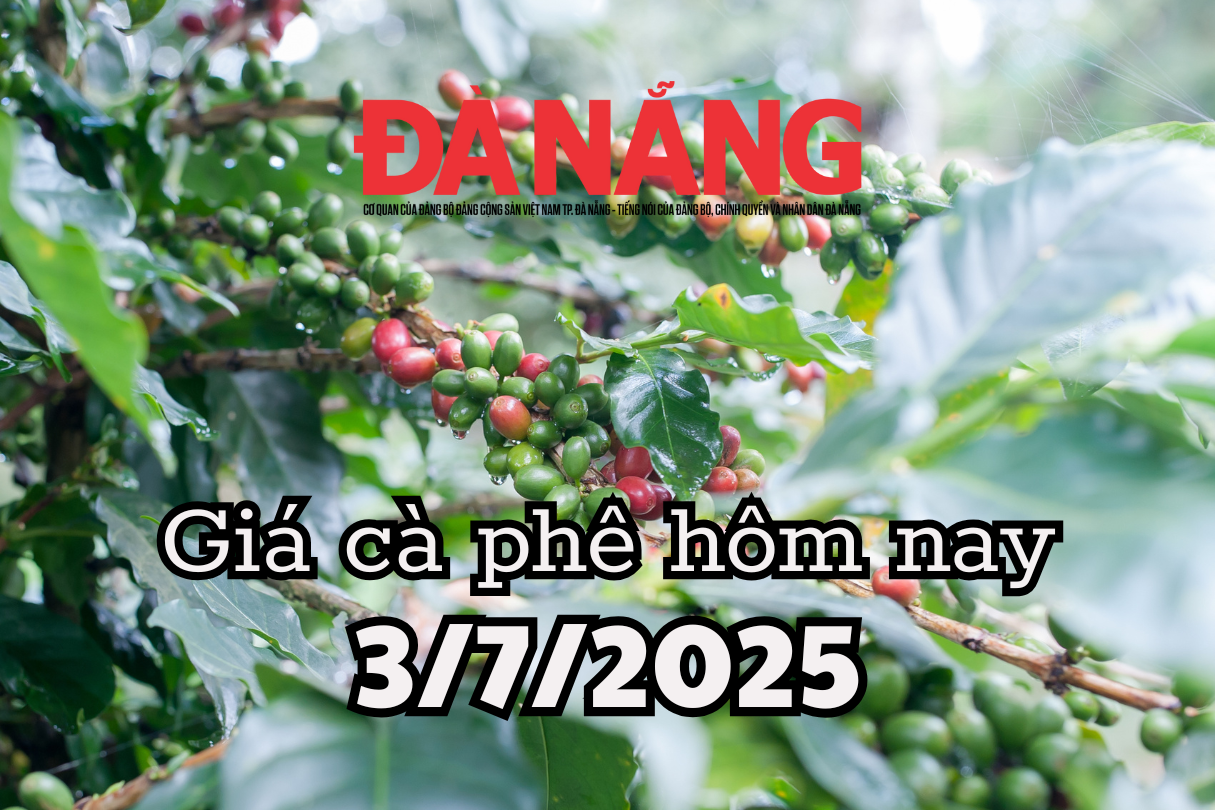Giá cà phê hôm nay 3 7 2025 Cà phê Việt kiếm 5.5 tỷ USD cà phê sau 6 tháng