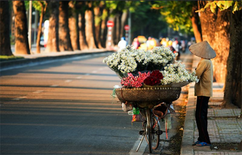 Hà Nội nắng nhẹ trời đẹp, Nam Bộ nhiều mây có lúc mưa rào -0
