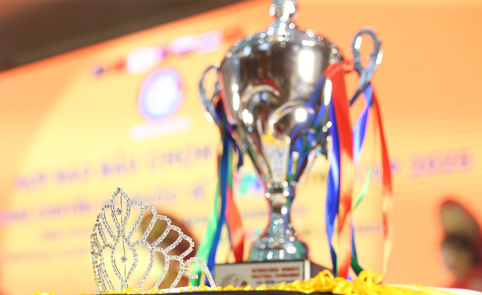hoa khoi vtv cup 2.JPG