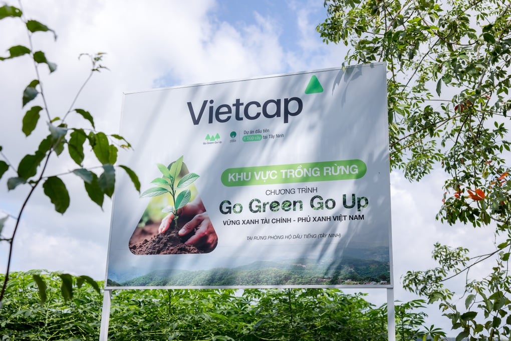 Vietcap trồng 6.000 cây tại rừng phòng hộ Dầu Tiếng với dự án Go Green Go Up - 1