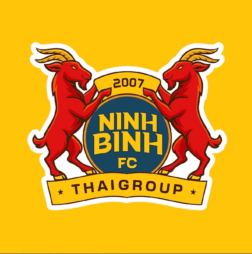 Logo mới của Ninh Bình FC có hình ảnh đặc biệt, sao cũ HAGL ra mắt gây chú ý- Ảnh 2.
