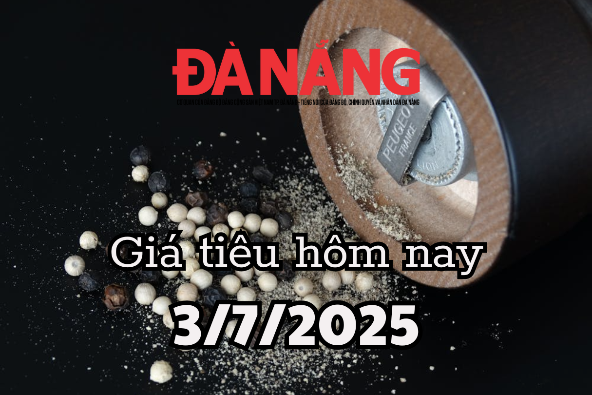 Giá tiêu hôm nay 3 7 2025 xuất khẩu giảm 15 nhưng doanh thu tăng 36