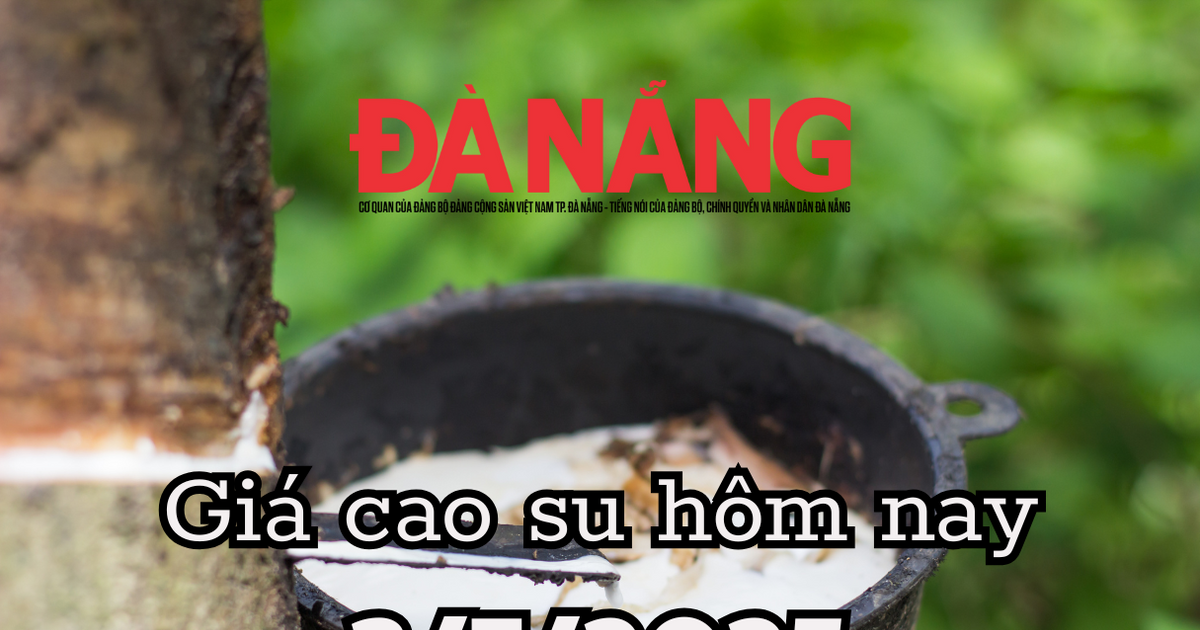 Giá cao su hôm nay 3/7/2025: Tocom-SGX tăng vọt, Mang Yang một mình một chiều