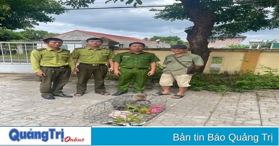 Tiếp nhận cá thể khỉ mặt đỏ quý hiếm do người dân tự nguyện giao nộp
