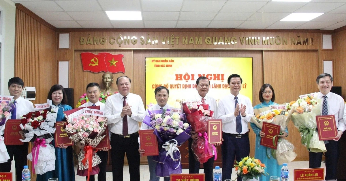 Bắc Ninh bổ nhiệm Phó Giám đốc Sở Giáo dục và Đào tạo