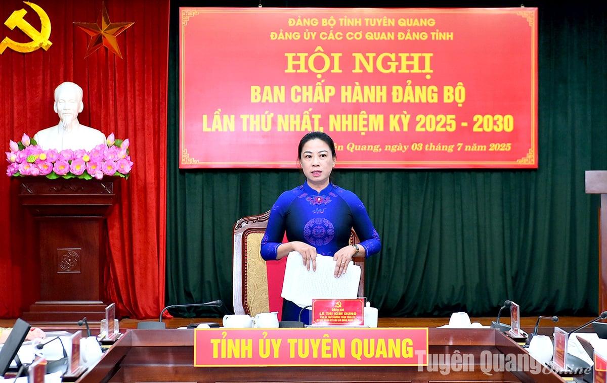 Đồng chí Lê Thị Kim Dung, Phó Bí thư Thường trực Tỉnh ủy, Bí thư Đảng ủy các cơ quan Đảng tỉnh phát biểu kết luận hội nghị.