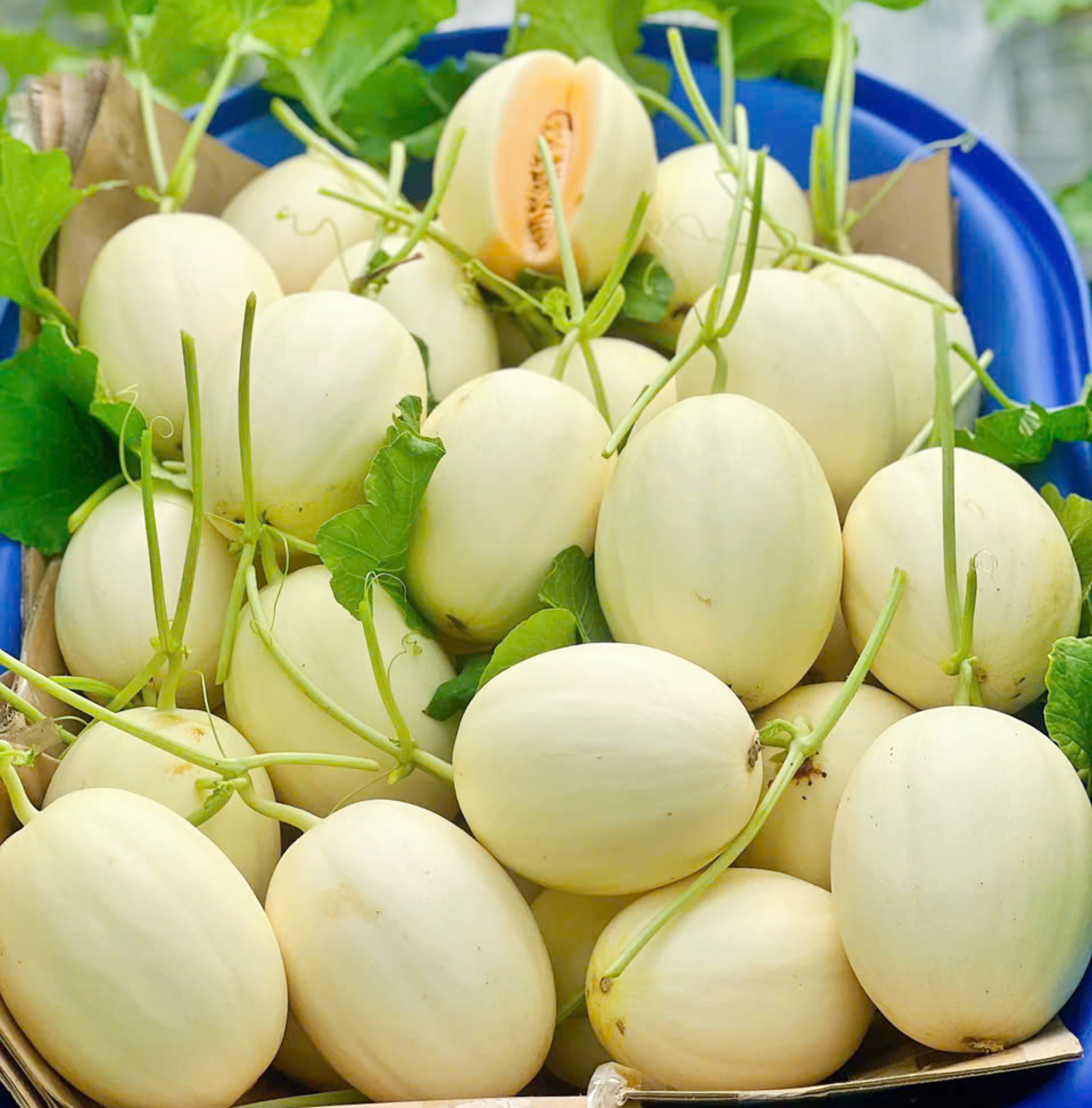Muốn khởi nghiệp thành công, phải dám đương đầu với thất bại- Ảnh 5.