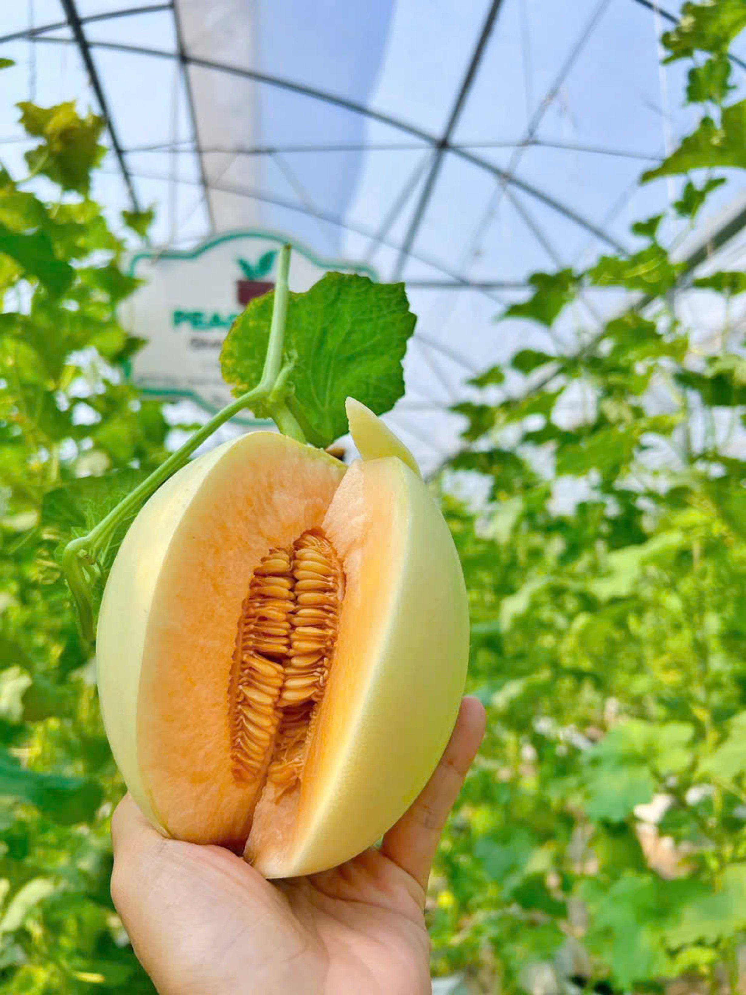Muốn khởi nghiệp thành công, phải dám đương đầu với thất bại- Ảnh 4.