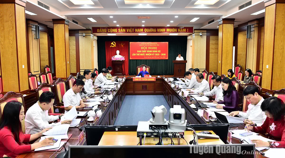 Hội nghị lần thứ nhất BCH Đảng bộ các cơ quan Đảng tỉnh nhiệm kỳ 2025-2030.