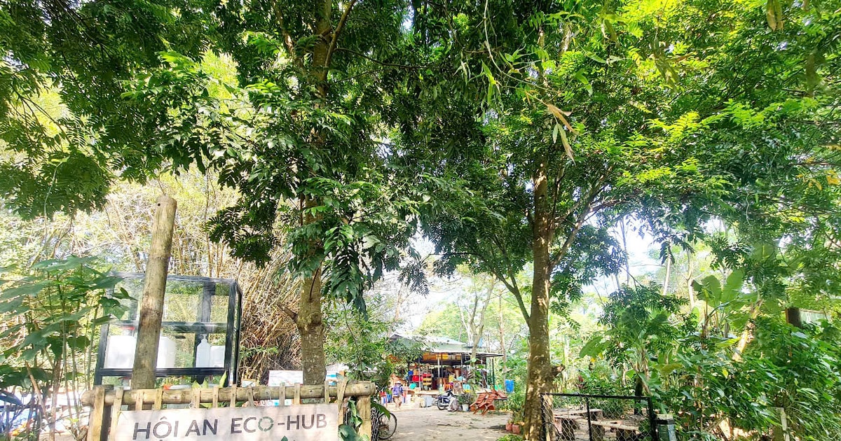 Sống xanh ở Triêm Tây