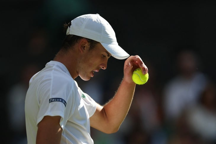 Câu chuyện cổ tích của tay vợt hạng 733 ở Wimbledon kết thúc  - Ảnh 1.