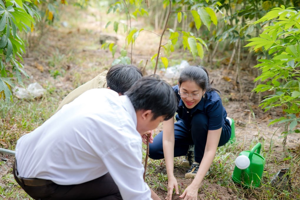 Vietcap trồng 6.000 cây tại rừng phòng hộ Dầu Tiếng với dự án Go Green Go Up - 3