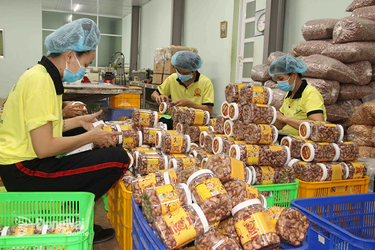 Chế biến hạt điều tại Công ty CP Tập đoàn Gia Bảo (phường Bình Phước). Ảnh: ĐÔNG KIỂM