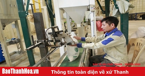 Xây dựng các cơ sở bảo quản, chế biến nông sản