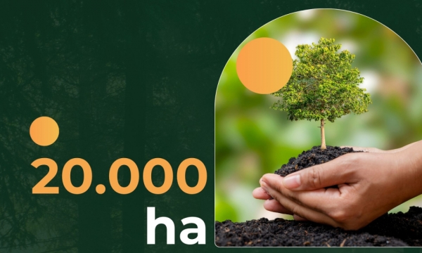 20.000ha - là diện tích rừng sản xuất được cấp chứng chỉ quản lý rừng bền vững FSC
