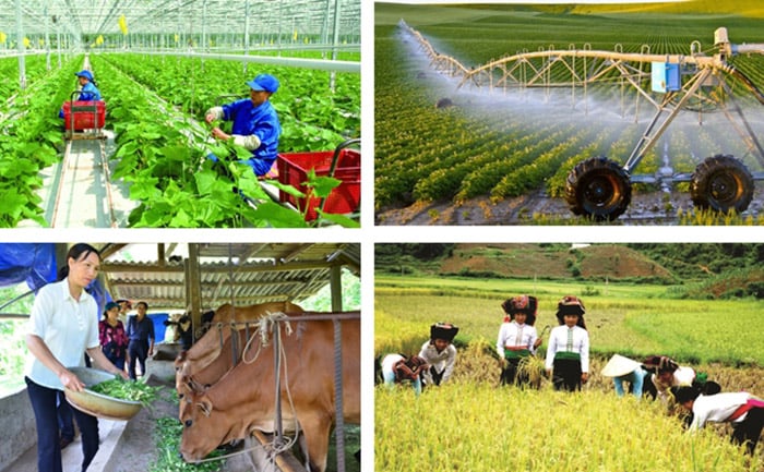 Đến từng nhà, gặp đúng người, thu thập đúng, đủ thông tin -0