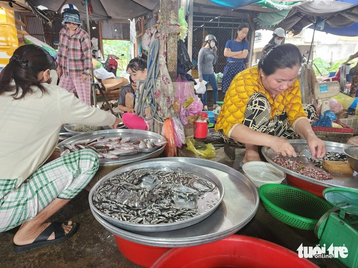 cá linh - Ảnh 1.