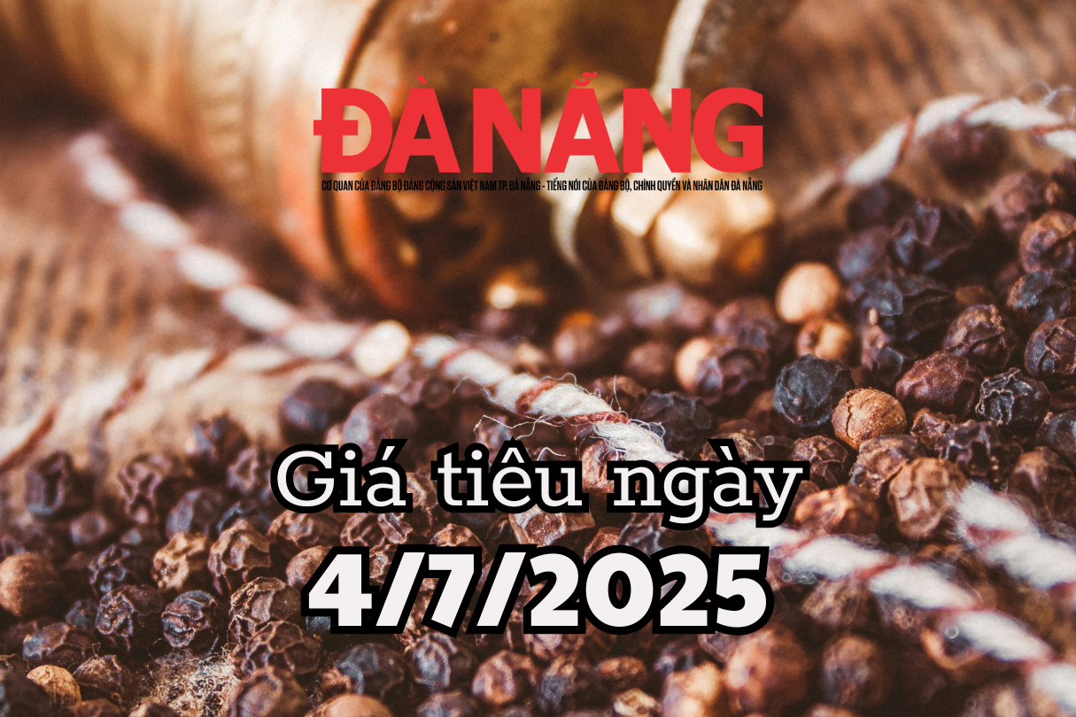 Tin tức, dự báo giá tiêu ngày mai 4 7 2025 chuỗi domino giảm đồng loạt