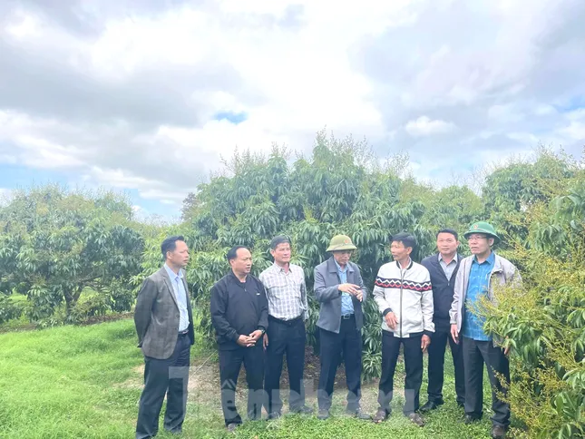 Cầu nối giúp nông dân làm kinh tế kiểu mới ảnh 2