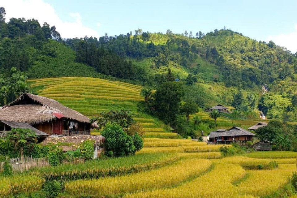 Ban Lien Lao Cai ទេសចរណ៍៖ ជាកន្លែងស្ងប់ស្ងាត់សម្រាប់អ្នកដែលស្រលាញ់ធម្មជាតិ និងវប្បធម៌ជនជាតិដើមភាគតិច