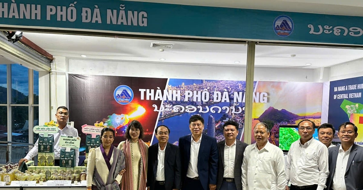 Da Nang organizes delegations to support businesses in promoting international market trade