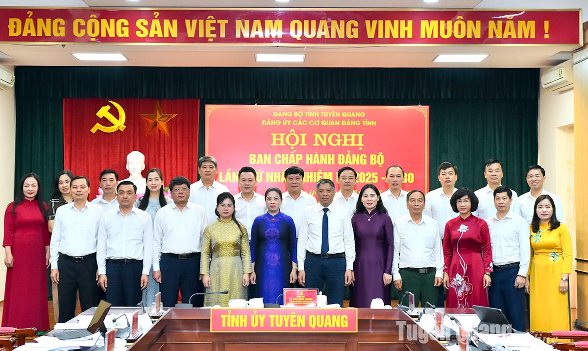 Ban Chấp hành Đảng bộ các cơ quan Đảng tỉnh.