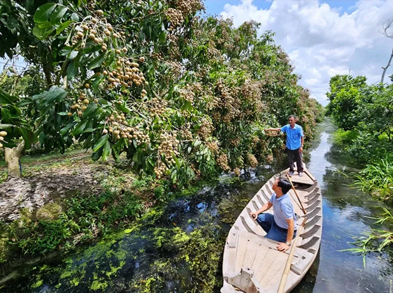 ស្វែងរកមតិយោបល់លើគម្រោងផលិតកម្មដំណាំកាត់បន្ថយការបំភាយឧស្ម័ន