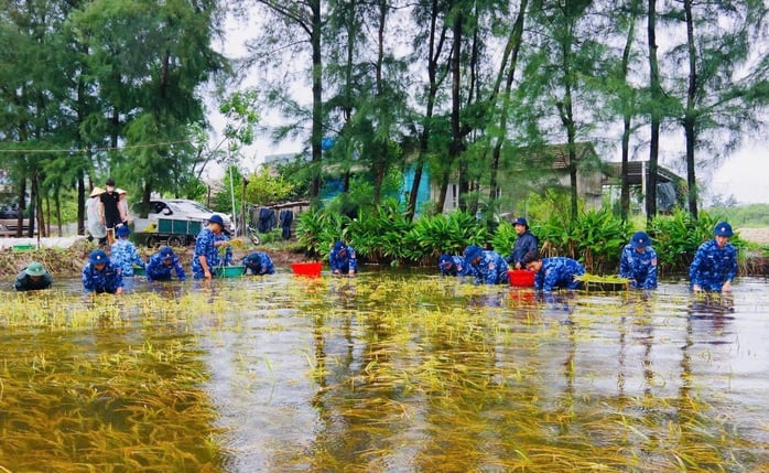 Hải đội 202 Cảnh sát biển: Lan tỏa hiệu quả công tác Dân vận - Ảnh 1.