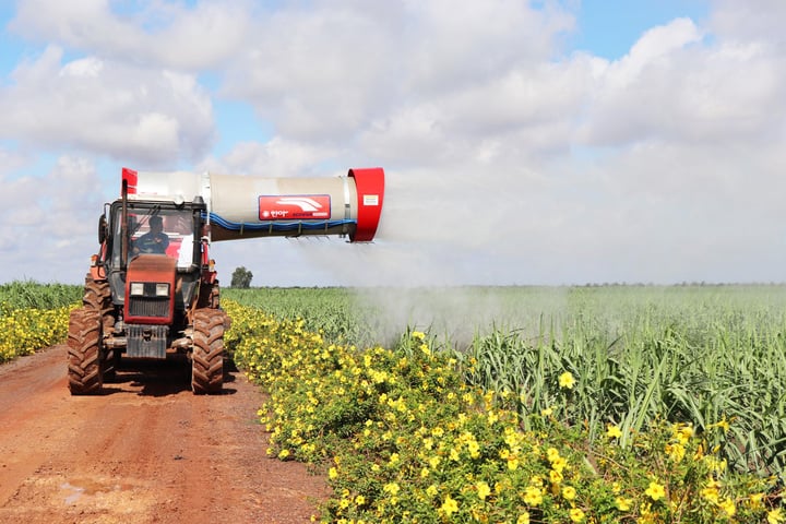 Tay Ninh province pays special attention to developing high-tech industries, supporting industries, and green industries associated with agriculture and rural areas.