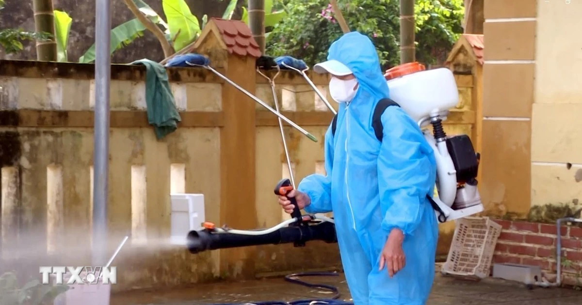 Bộ Y tế tăng cường phát hiện sớm các nguy cơ dịch bệnh tại cộng đồng