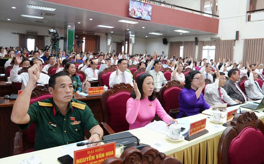 Đại biểu biểu quyết thông qua các nghị quyết.