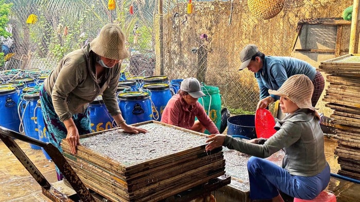Nguồn vốn chính sách tiếp sức cho ngư dân- Ảnh 3.