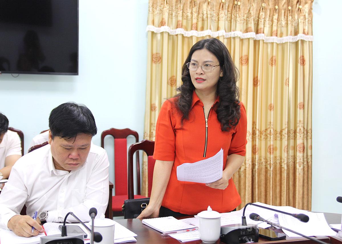 Vice Chairman of the Provincial People's Committee Vuong Ngoc Ha spoke at the meeting.