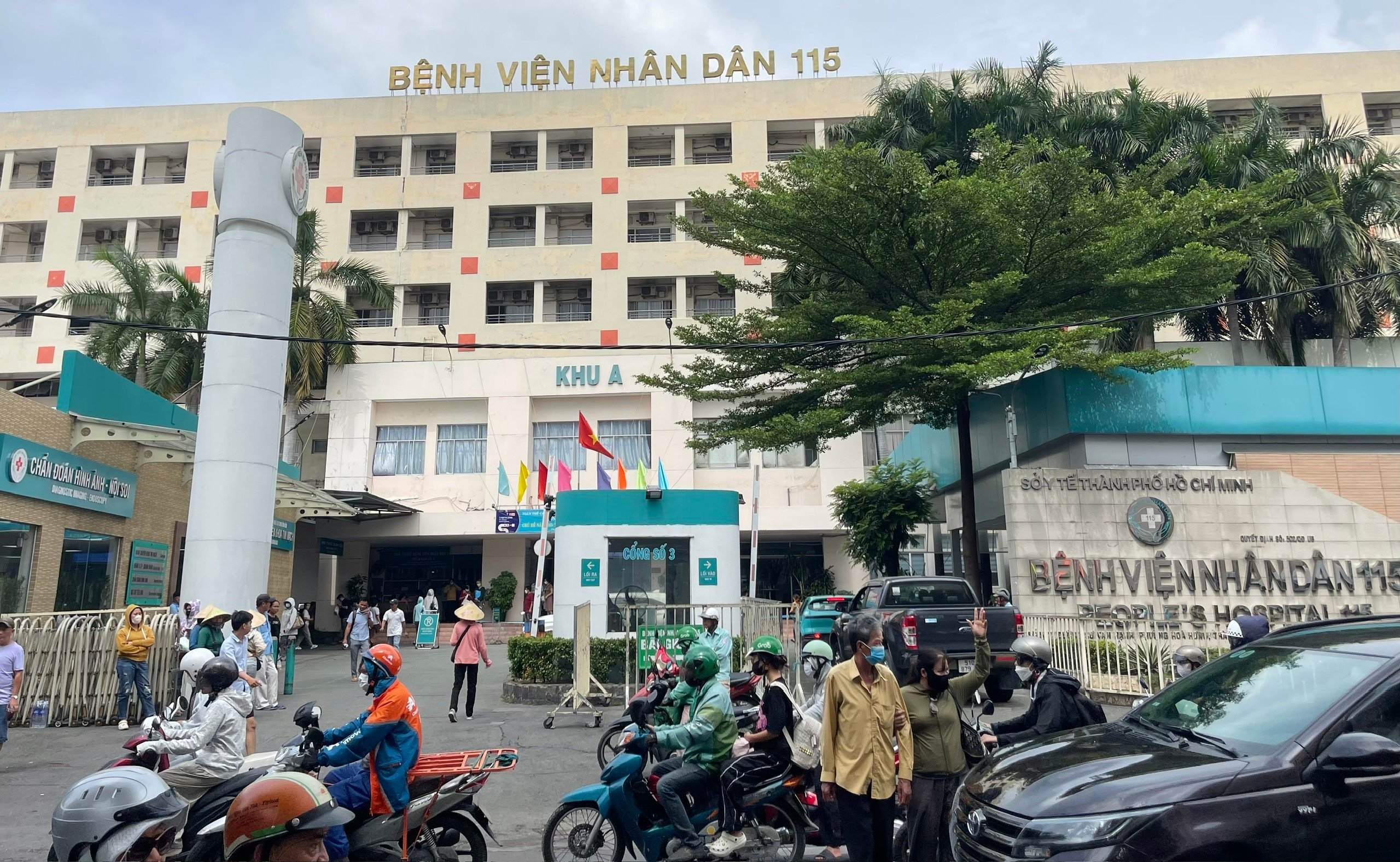 cò khám bệnh - Ảnh 2.