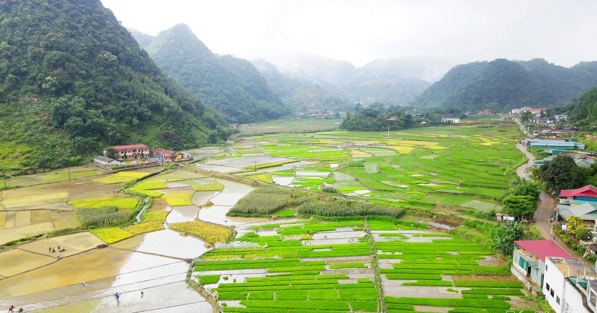 Vân Sơn vươn mình đổi mới