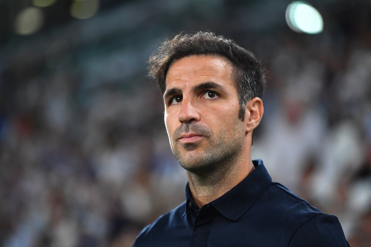Cesc Fabregas anh 2