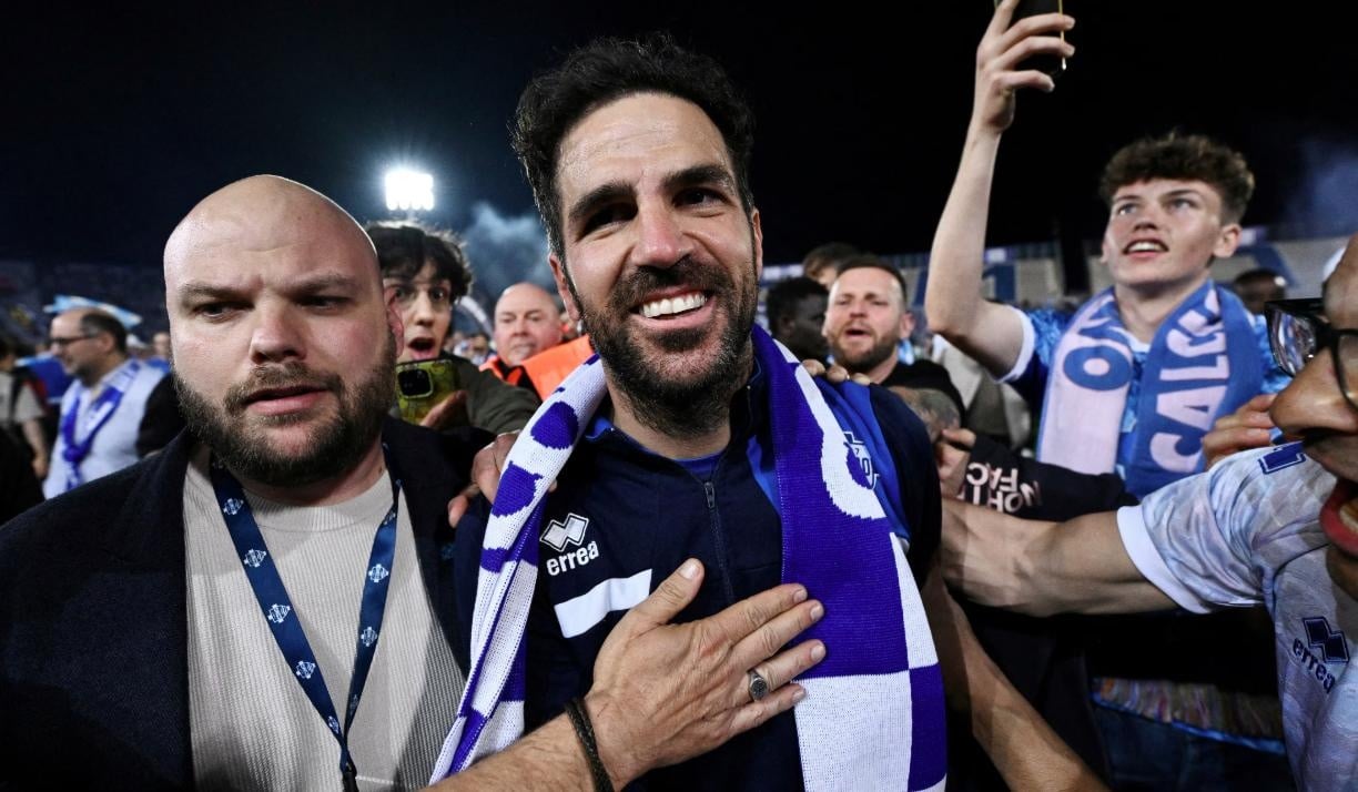 Cesc Fabregas anh 1
