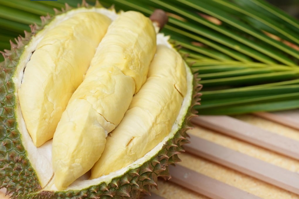 Cách Trung Quốc tự trồng sầu riêng khiến Thái Lan, Việt Nam phải dè chừng - 2