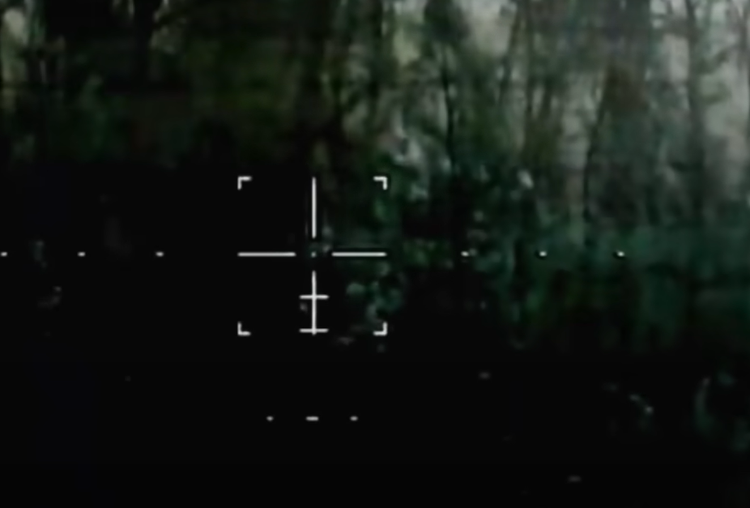 13.png