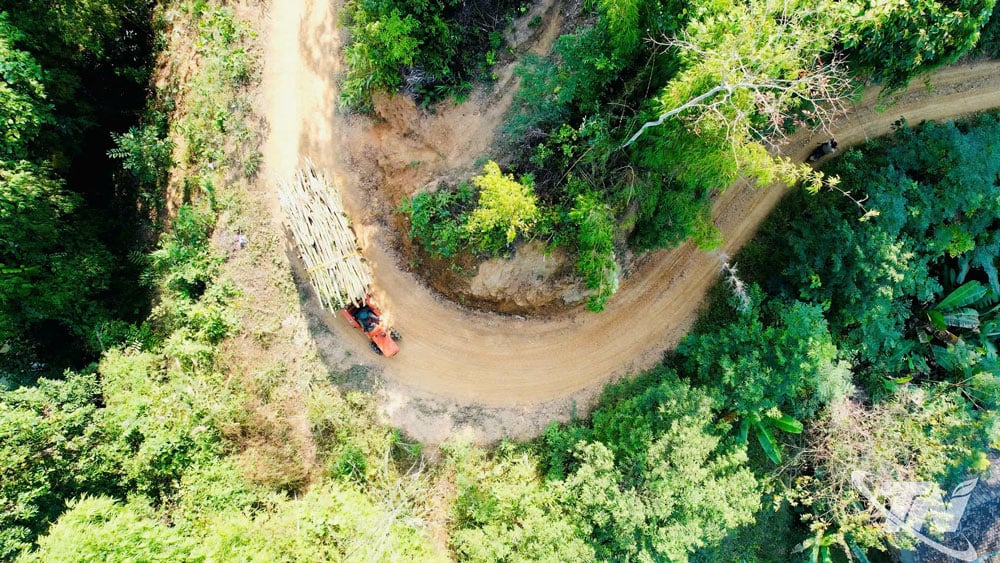 People transport wood on the forestry road.