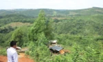 Đi tìm đất rừng 135 thành 'vườn nhà cán bộ'