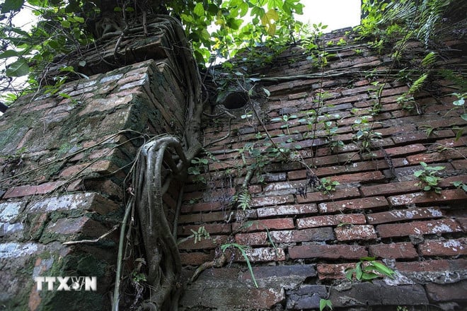 ttxvn-phu-tho-5-resize.jpg