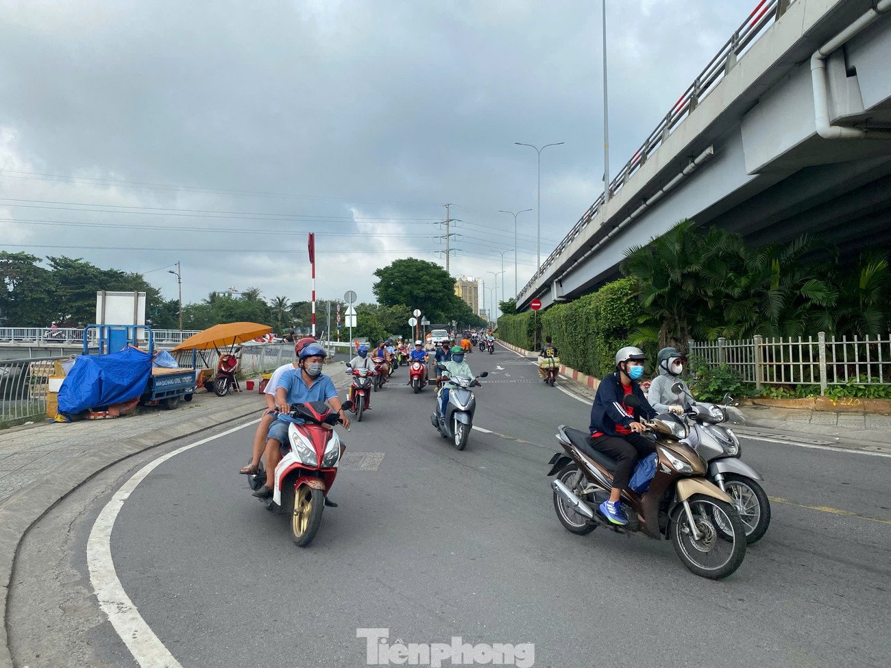 tp-phu-dinh-5.jpg