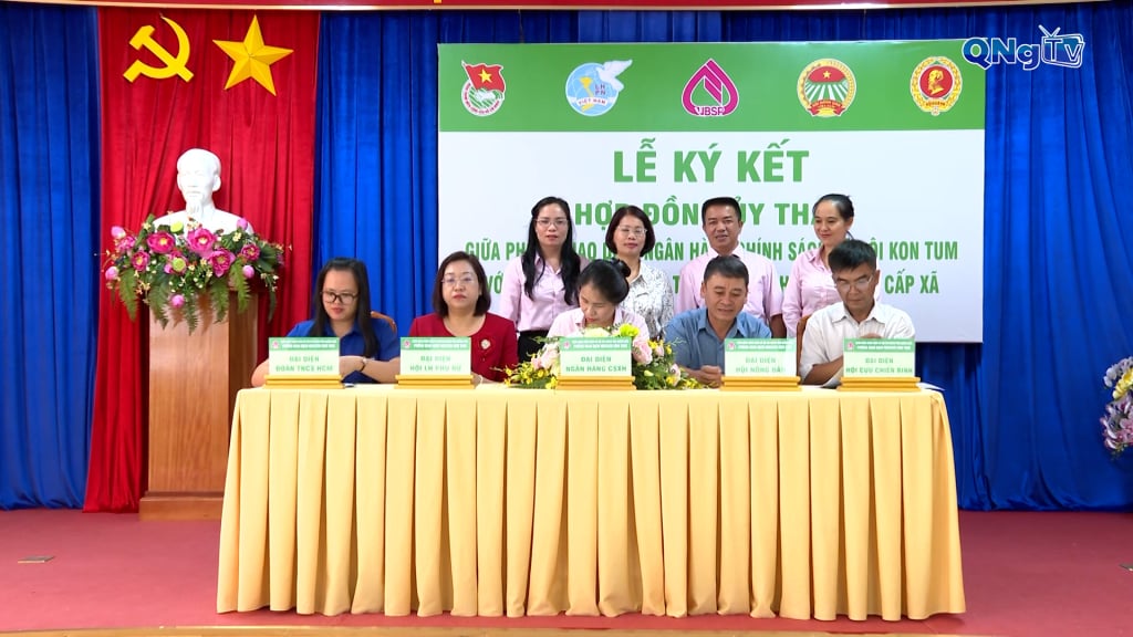 nh,chinh,sach,11463130.jpg