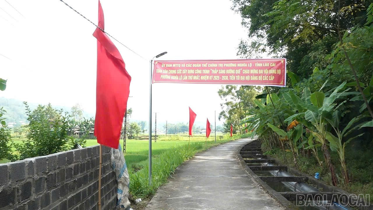 baolaocai-br_bb.jpg