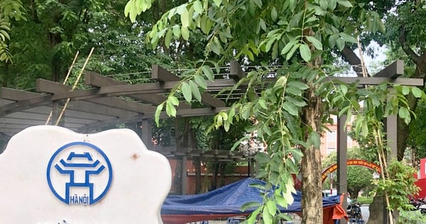 Loay hoay giữ gìn vẻ đẹp công viên, vườn hoa