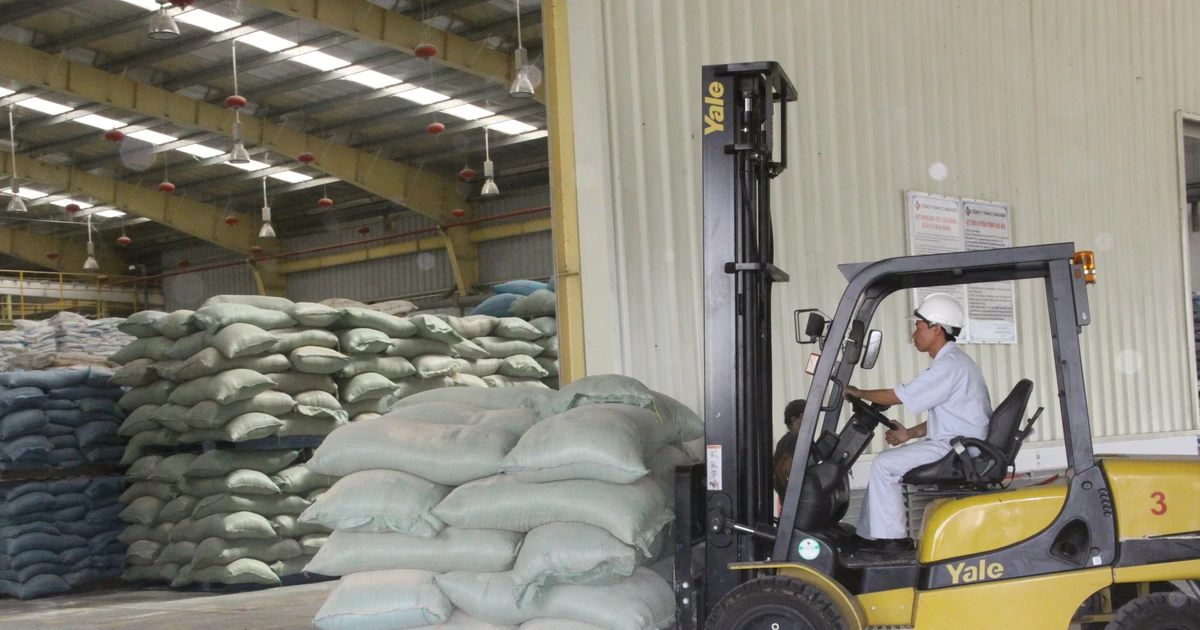 Gia Lai: Chấp thuận cho Công ty TNHH ANT đầu tư 80 tỷ đồng thực hiện Dự án trại heo giống