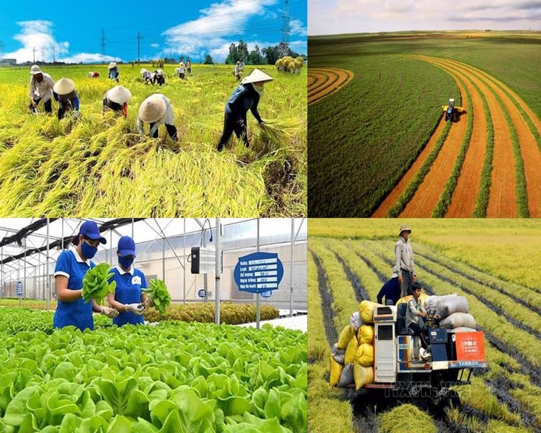 Ra mắt sổ tay hướng dẫn nhiệm vụ của chính quyền cấp xã lĩnh vực nông nghiệp và môi trường- Ảnh 1.