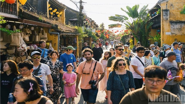Tiếp cận, phát triển du lịch vùng phụ cận để giảm tải áp lực cho phố cổ Hội An - Ảnh 2.