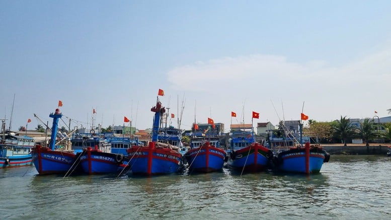 Quảng Ngãi kiểm tra, quản lý chặt chẽ tàu cá.jpg